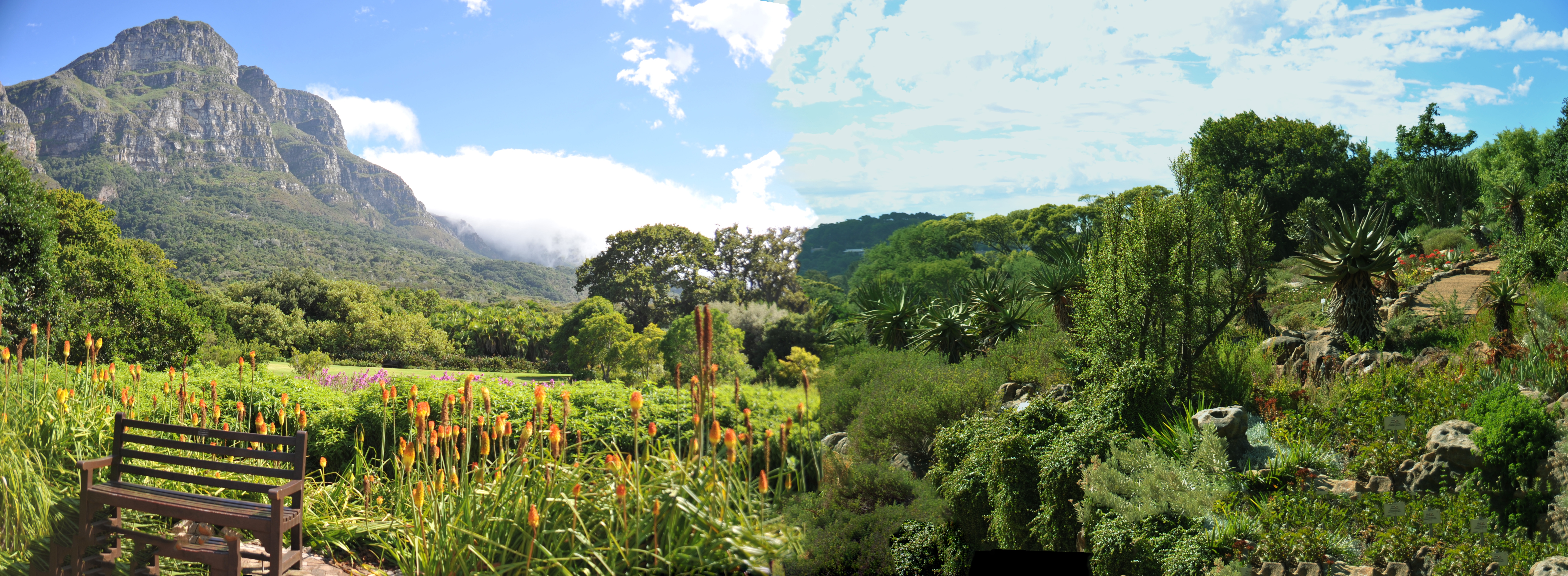 Capetown, South Africa
& Cape Hope Pennisula