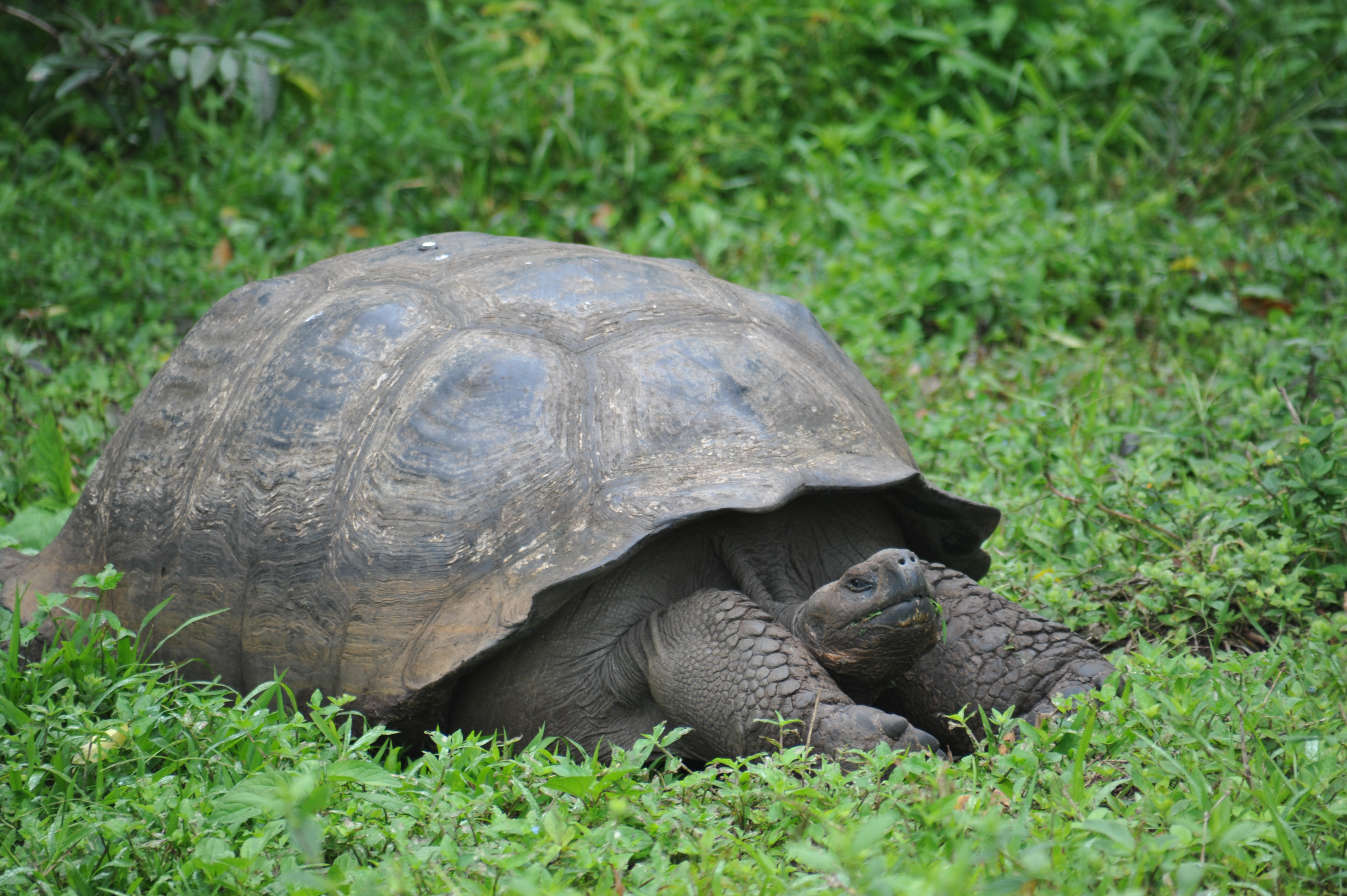 Welcome to the 
Galapagos Islands