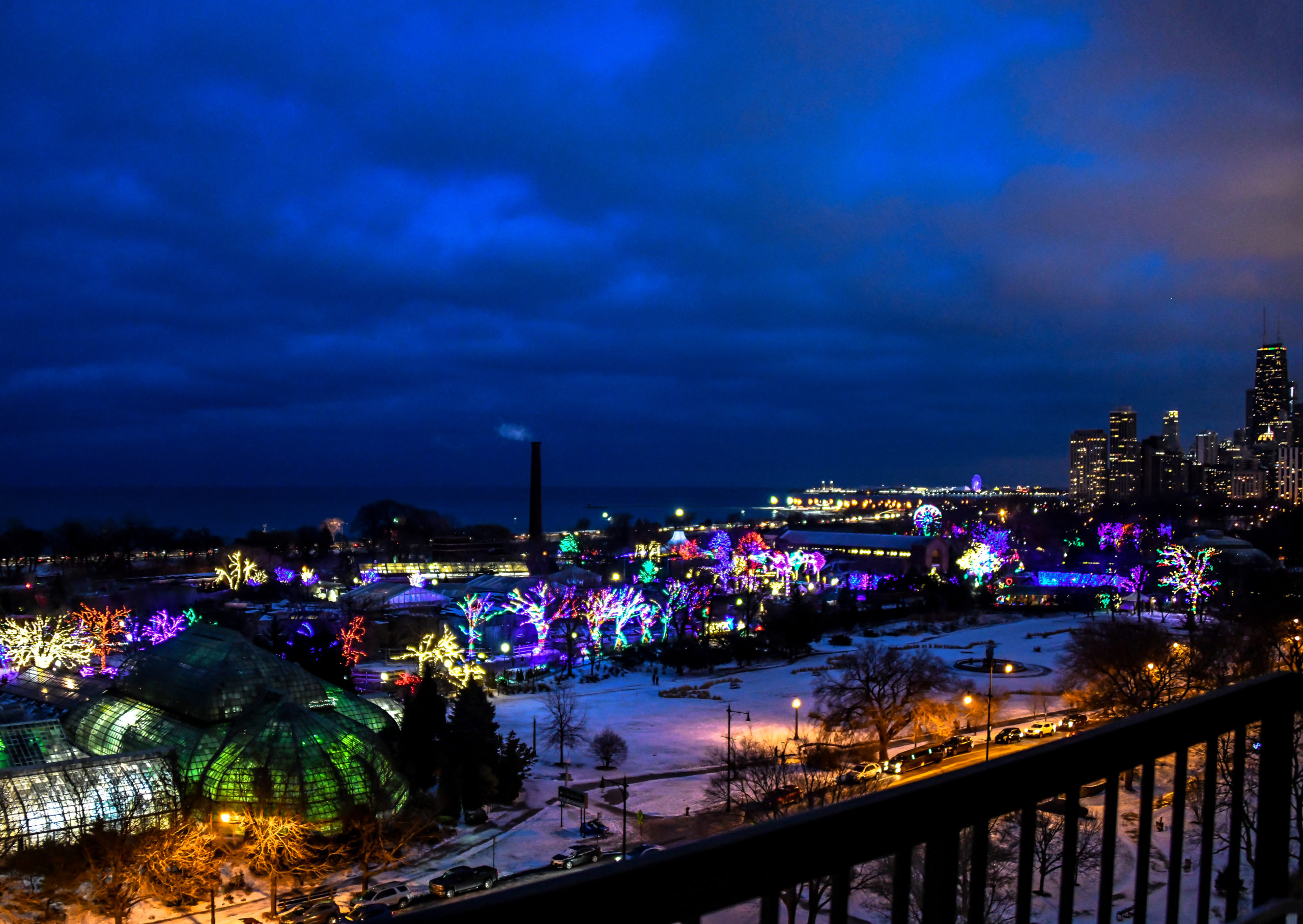 The Zoo-Lights:
From The Balcony