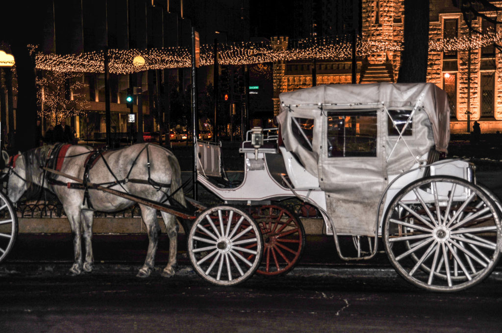 Horses & Carriages
(Carts, too)