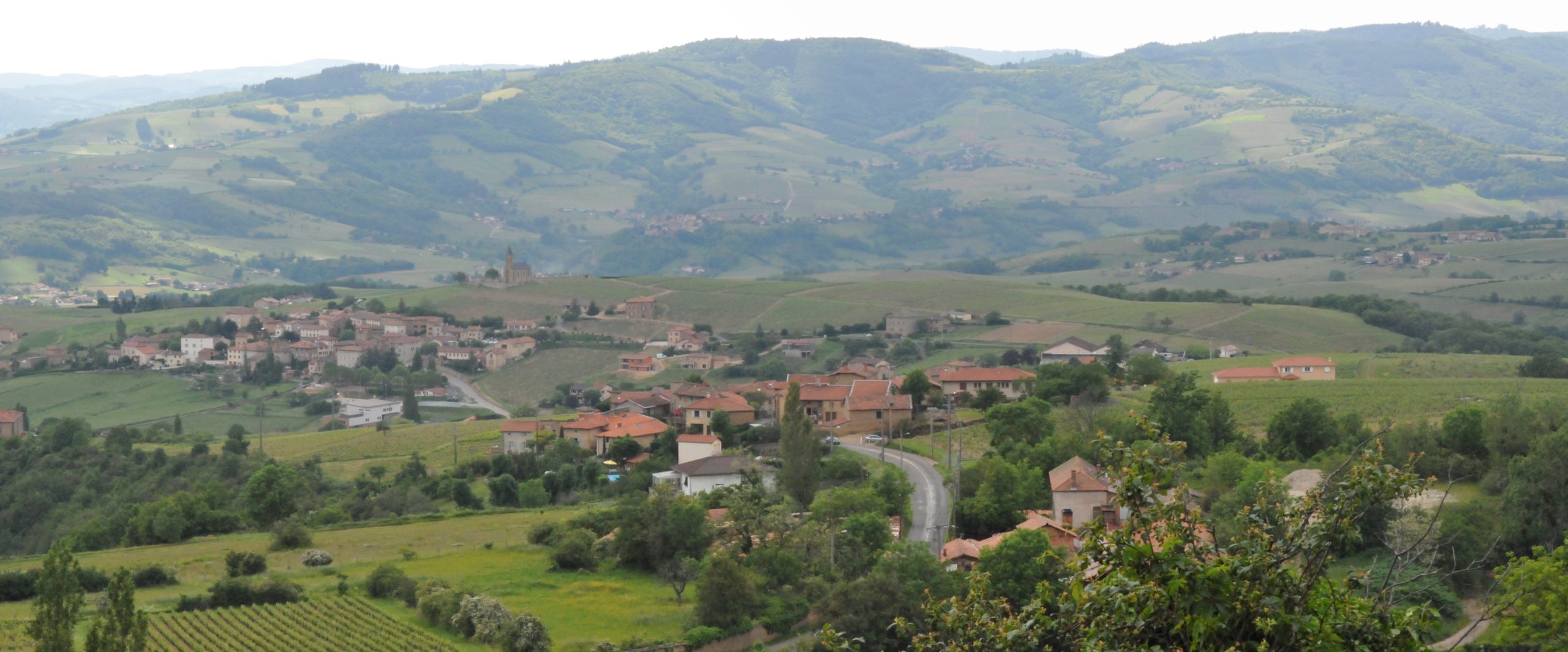 Provence * The South of France