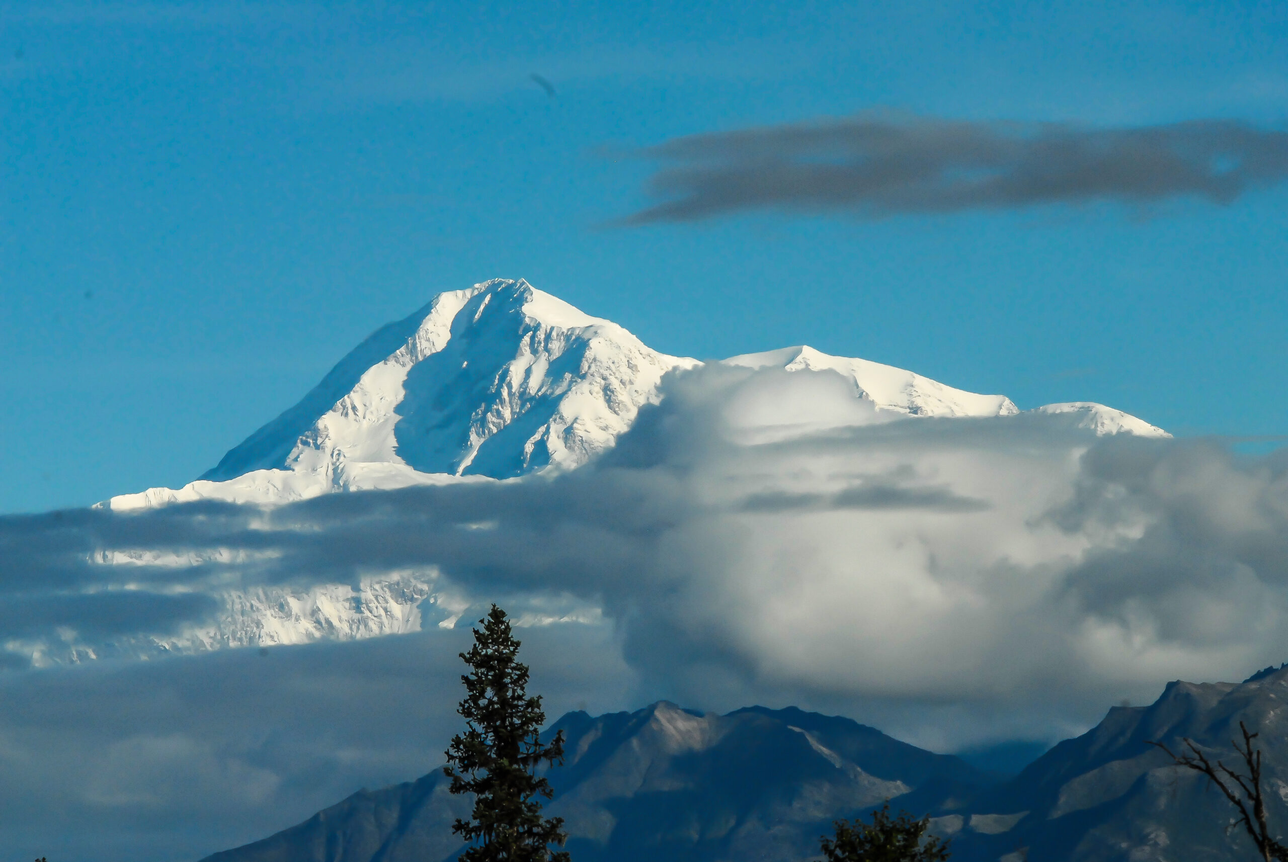 50th Anniversary with the Family
Mt. Denali, Alaska